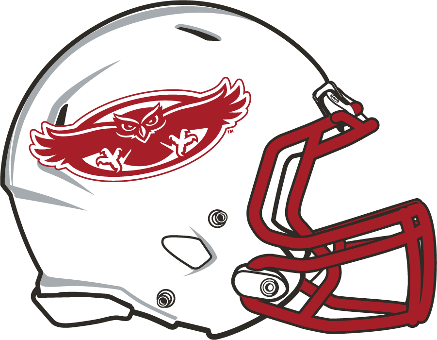 Florida Atlantic Owls 2015-2017 Helmet Logo iron on transfers for T-shirts